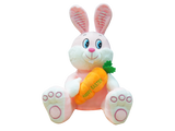 Easter Bunny Soft Toy